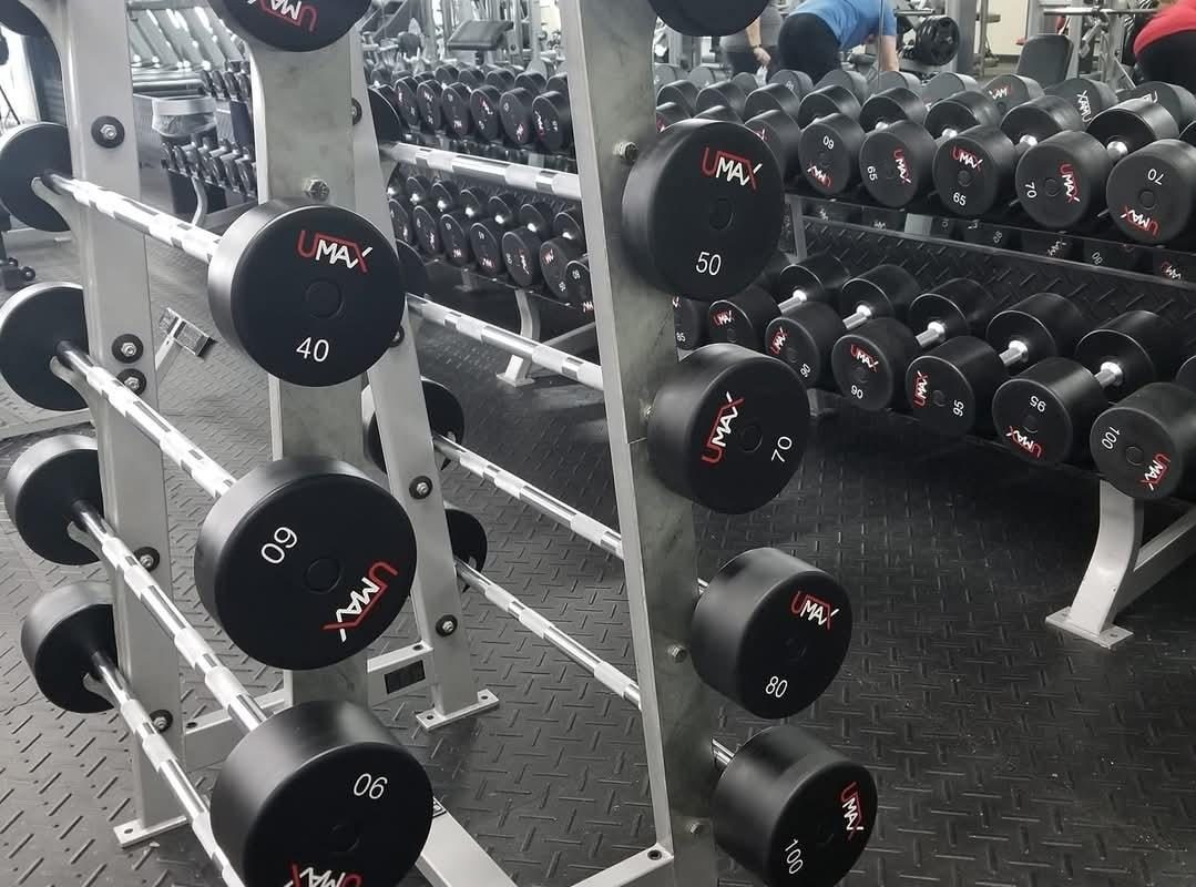 Everybody Fitness - everybodyfitnesstroyfreeweights